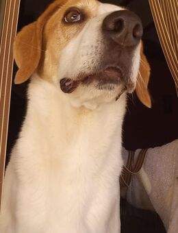 Swimmingpool da? tolle Lilli happy - Jade