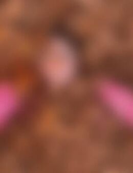 Gol*** - Freiburg (Breisgau)