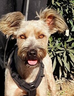 Bob Marley - hofft auf eine besser Zukun - Hückelhoven