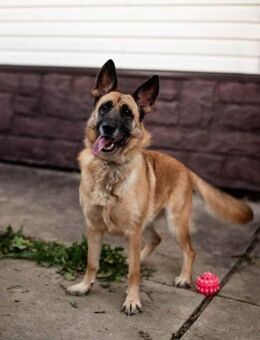 LUNA-sucht aktive, ambitionierte Familie - Mainhardt