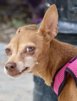 Flor, offen, freundlich, neugierig - Westerholt