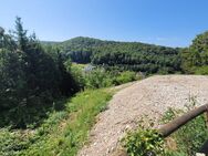 Toller Bauplatz für freistehendes - EFH sofort bebaubar - in bevorzugter Hanglage in Lörrach am Hünerberg - Lörrach