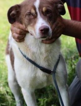 Juka - fröhlich u. aufgeweckt ❤️ - Lohra