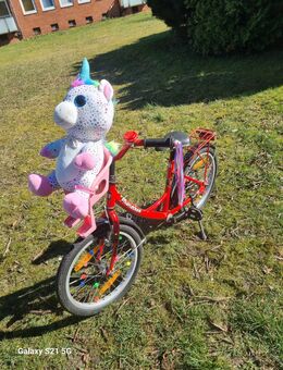 Top Kinderrad was jedes Kinderherz höher schlagen lässt , das Marichen , - Wedel