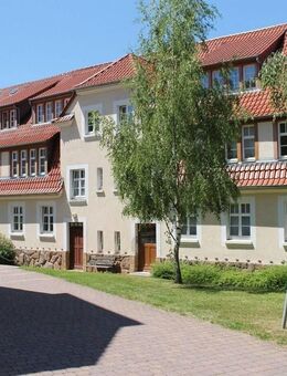 2-Raum Wohnung, 2025 renoviert mit EBK und Internetverbindung - Rossau