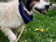 ASPEN liebt das Leben in vollen Zügen! - Kissing