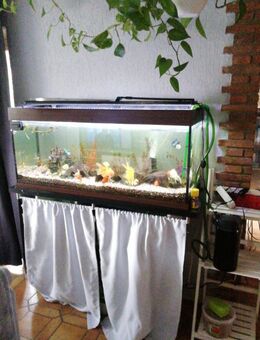 Aquarium Juwel - Pottum