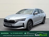 Skoda Octavia, 2.0 TDI Combi Infotainment Plus, Jahr 2024 - Heiligenstadt (Heilbad) Zentrum