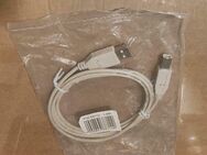 NEU/Druckerkabel mit USB 2.0-Stecker(Typ A)USB 2.0(Typ B) - Zerbst (Anhalt) Zentrum