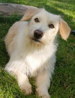 Kira möchte endlich ankommen! - Koblenz