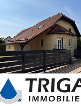 Charmantes Einfamilienhaus im begehrten Stadtteil Salza - mit Einbauküche, Kaminofen und Vollkeller! - Nordhausen