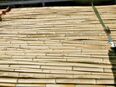 5x Bambusrohr Bambusstäbe 1,8-6m lang 1,5-3,5cm dick in Süddeutschland gewachsen in 78315