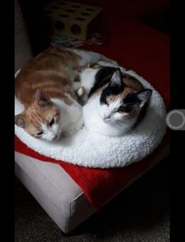 Bella & Linus hübsches Mama-Sohn-Team - Unterföhring