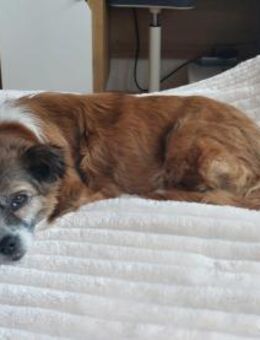 Soul liebe Omi sucht.... - Kallmünz