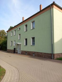 1. Kaltmiete frei ! - Frisch sanierte 3-Raum-Wohnung Steinstraße 13 in Bad Düben - Bad Düben
