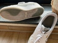 Puma Sneakers Gr. 44 - Minden (Nordrhein-Westfalen)