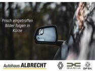 Renault ZOE, Zoe Experience R110 digitales Scheinwerferreg, Jahr 2020 - Brandenburg (Havel)