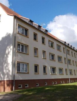 4-Raum-Wohnung in naturnaher ruhiger Lage von Elsnig - ideal für Familien mit Kindern! - Elsnig