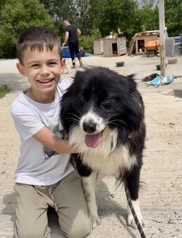 Freundlich + sozial = JOE wartet auf ♥️ - München