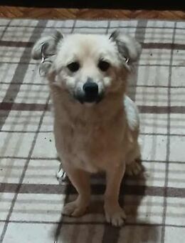 Jana - jung und neugierig - Westerholt