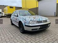 VW Golf EINZELSTÜCK*Klima*Verkauf im Zustand ohneTüv - Flensburg