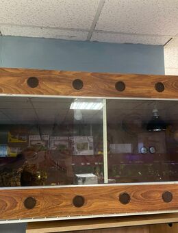 Holz-Terrarium 130x60x60 - Bautzen Zentrum