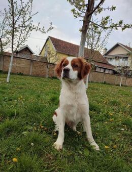 Sima sucht aktive Menschen - Müglitztal