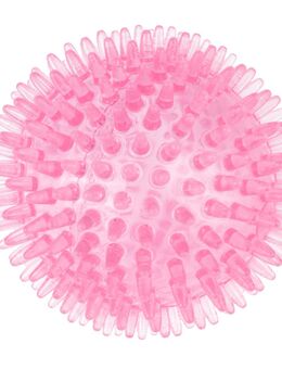 TIAKI Hundespielzeug Stacheliger Ball - Ø 8,3 cm