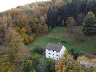 Ein-/Zweifamilienhaus in Alleinlage mit großzügigem Grundstück nähe der Innenstadt - Kulmbach