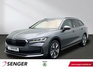 Skoda Superb, 2.0 TDI Combi 110kW Selection, Jahr 2024 - Münster