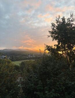 Mehrfamilienhaus am Waldrand mit 3 Wohnungen Forchtenberg - Kochertal -Süddeutschland - Forchtenberg