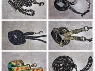 Hundegeschirre,leinen und Halsbänder - Peine