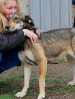 Rosalie - junges, zauberhaftes Mädchen - Berlin