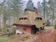 Reetdach-Landhaus am Drüsensee mit eigenem Wald - Lehmrade