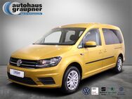 VW Caddy, 2.0 TDI Maxi Life, Jahr 2019 - Brandis