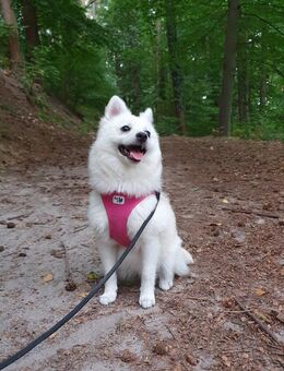 Nala, 7 Monate♡ - Geesthacht