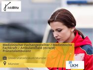 Medizinischer Fachangestellter / Medizinische Fachkraft / Ambulanzheld (m/w/d) Pränatalambulanz - Münster