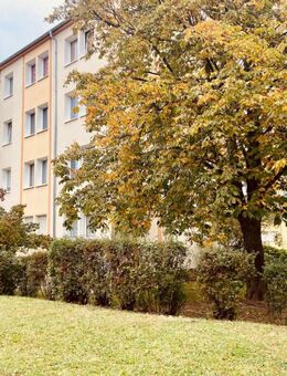 Einziehen und Wohlfühlen - Weißenfels