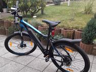 E-Bike MTB - Limbach-Oberfrohna