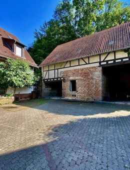 Heidelberger Landhaus - Exklusives Anwesen mit Natur, Raum & Entwicklungs-Potenzial - Heidelberg