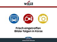 Ford Focus, ST-Line X Automatik Fahrerassistenz Styling-Paket 18, Jahr 2024 - Dülmen