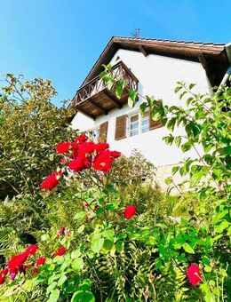 Zwei in Einem! - Lappersdorf