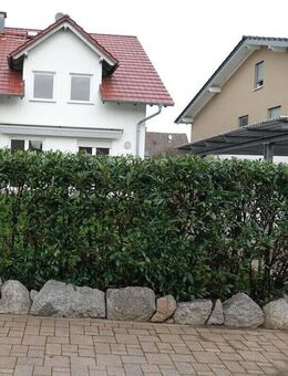 Gepflegte Doppelhaushälfte in ruhiger Lage mit viel Platz für eine Familie - Einhausen (Hessen)