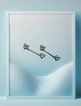 Nipplepiercing chirurgischer Edelstahl - München
