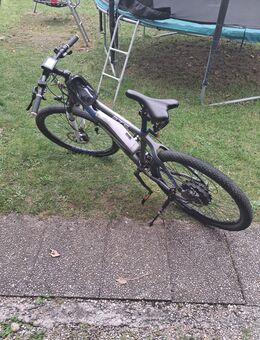 e-Bike Fischer - Mammendorf