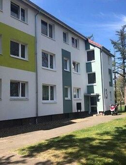 Renovierte 3-Zimmer-Wohnung mit Balkon - Delmenhorst
