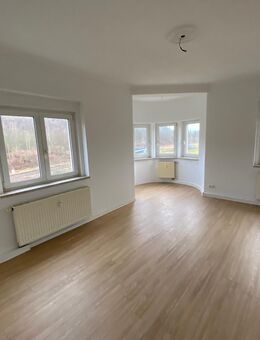 Sonnige, große 3-Raum-Wohnung in Plauen zu vermieten - Plauen