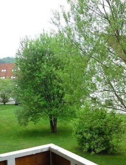 Gemütliche Singlewohnung im 1. OG mit Einbauküche - Glauchau