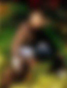 Vol*** - Hamburg Altstadt