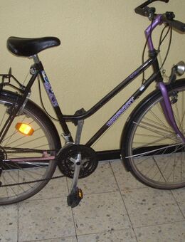 DIAMANT Tourenrad / Trekkingrad / 90er Vintage / Shimano GS 200 - Köln